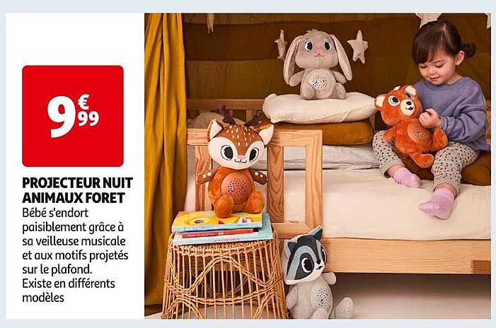 PROJECTEUR NUIT ANIMAUX FORET