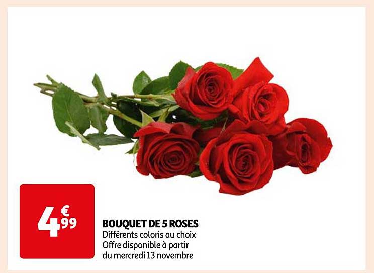 BOUQUET DE 5 ROSES