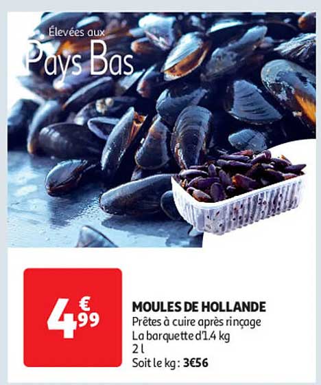 MOULES DE HOLLANDE