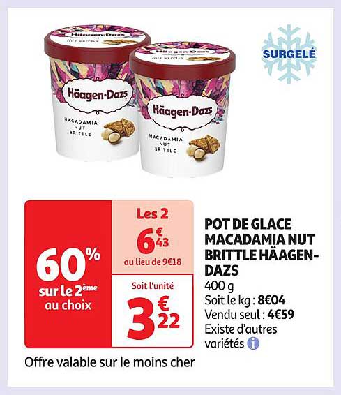 POT DE GLACE MACADAMIA NUT BRITTLE HÄAGEN-DAZS