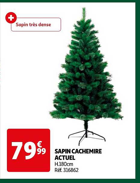 SAPIN CACHEMIRE ACTUEL