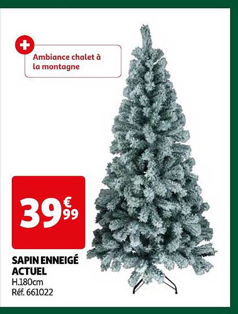 SAPIN ENNEIGÉ ACTUEL