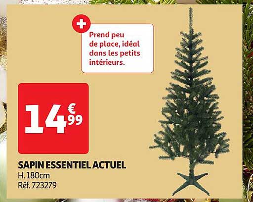 SAPIN ESSENTIEL ACTUEL