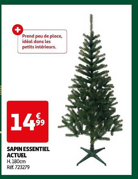 SAPIN ESSENTIEL ACTUEL