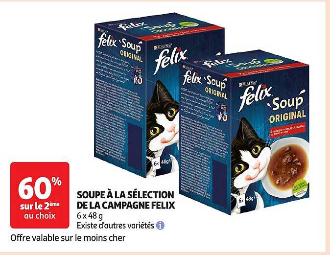 SOUPE À LA SÉLECTION DE LA CAMPAGNE FELIX