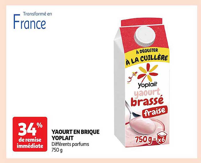 YAOURT EN BRIQUE YOPLAIT