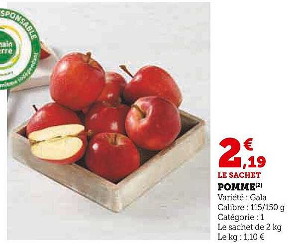 LE SACHET POMME(2)