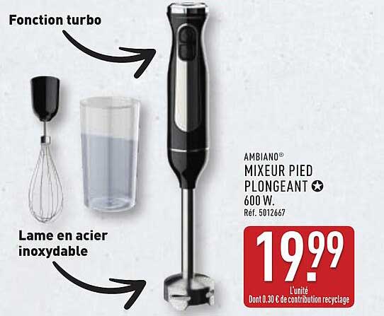 AMBIANO MIXEUR PIED PLONGEANT 600 W.