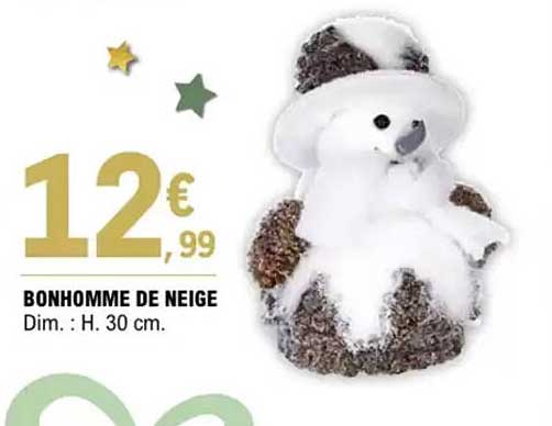 BONHOMME DE NEIGE