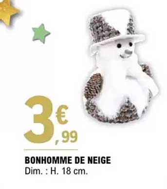 BONHOMME DE NEIGE