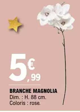 BRANCHE MAGNOLIA