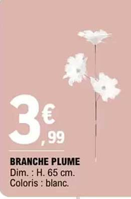 BRANCHE PLUME