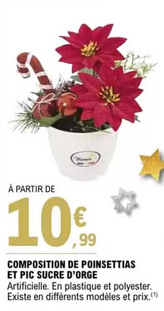 COMPOSITION DE POINSETTIAS ET PIC SUCRE D'ORGE