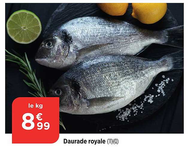 Daurade royale