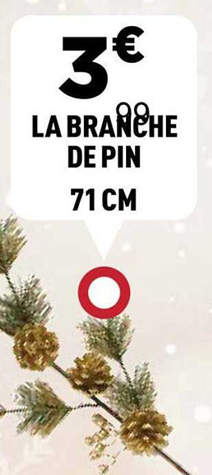 LA BRANCHE DE PIN