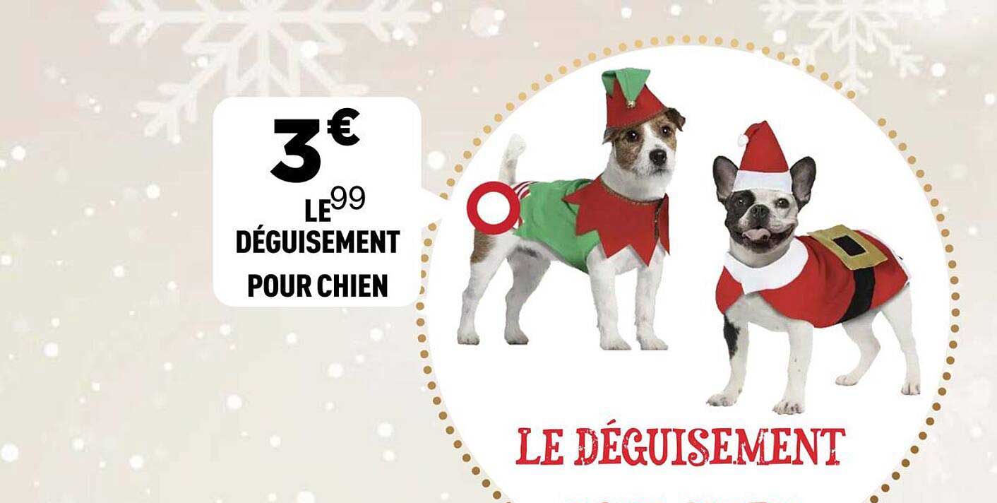 LE DÉGUISEMENT POUR CHIEN