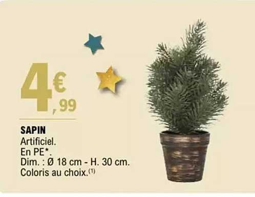 SAPIN