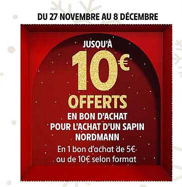 JUSQU'À 10 € OFFERTS EN BON D'ACHAT POUR L'ACHAT D'UN SAPIN NORDMANN