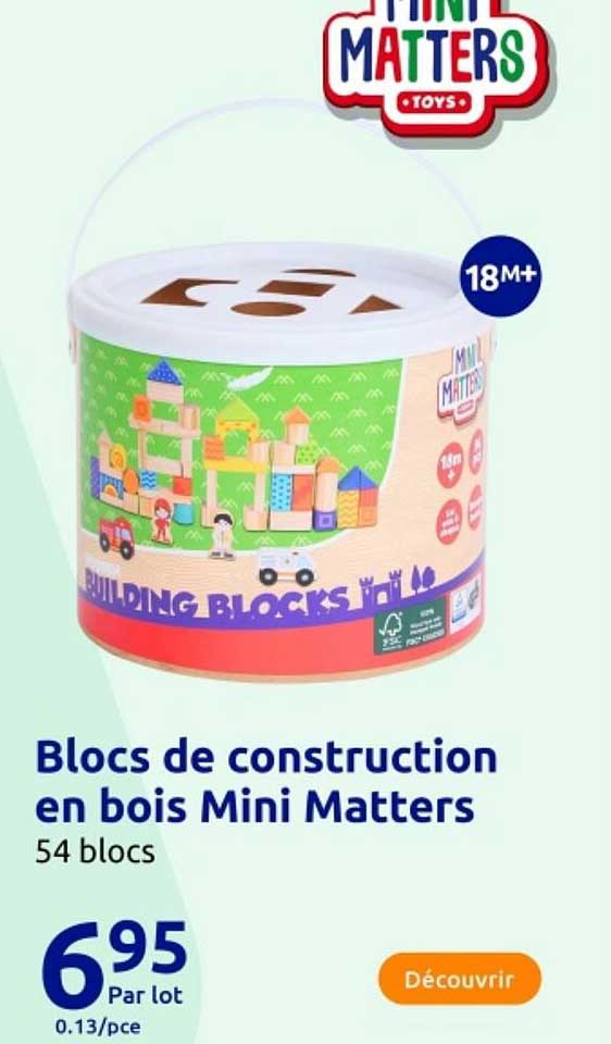 Blocs de construction en bois Mini Matters