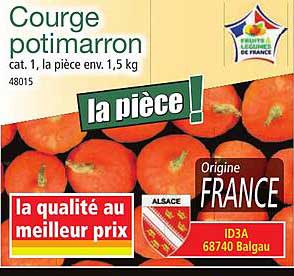 Courge potimarron