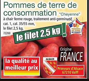 Pommes de terre de consommation "Cheyenne"