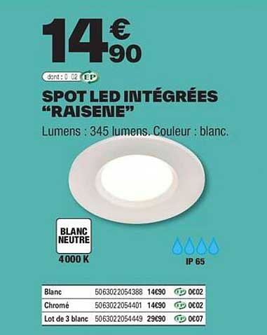 SPOT LED INTÉGRÉES "RAISENE"