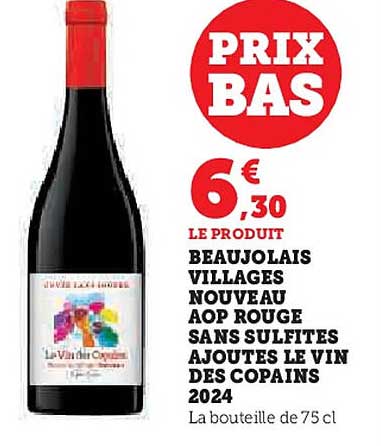 Beaujolais Villages Nouveau AOP Rouge Sans Sulfites Ajoutés Le Vin des Copains 2024