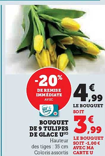 BOUQUET DE 9 TULIPES DE GLACE U©