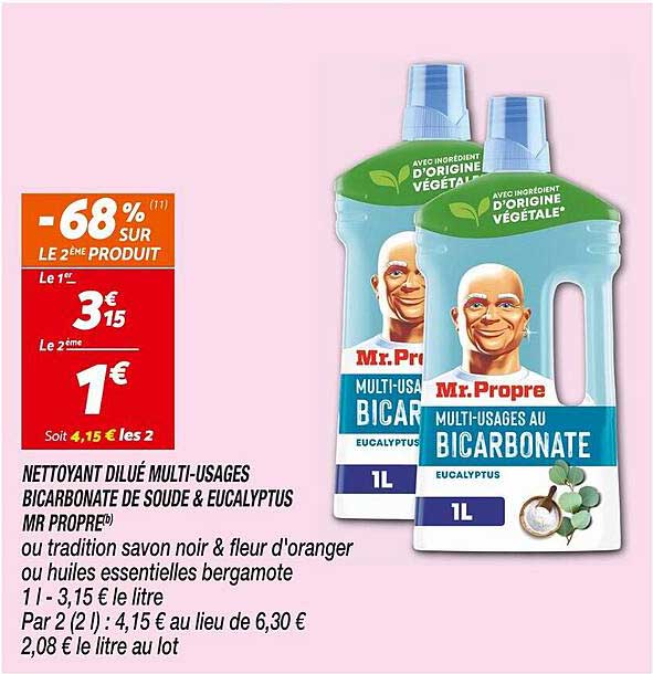 NETTOYANT DILUÉ MULTI-USAGES BICARBONATE DE SOUDE & EUCALYPTUS MR PROPRE