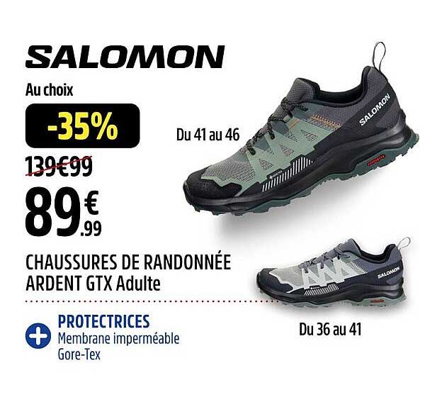 CHAUSSURES DE RANDONNÉE ARDENT GTX Adulte