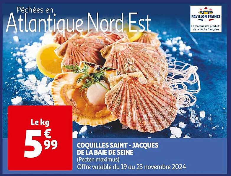 COQUILLES SAINT - JACQUES DE LA BAIE DE SEINE