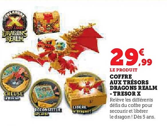 COFFRE AUX TRÉSORS DRAGONS REALM - TRÉSOR X