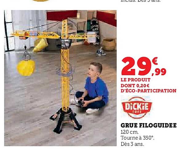 GRUE FILOGUIDEE