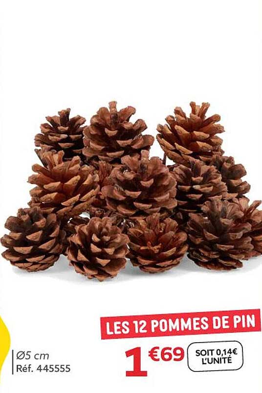 LES 12 POMMES DE PIN