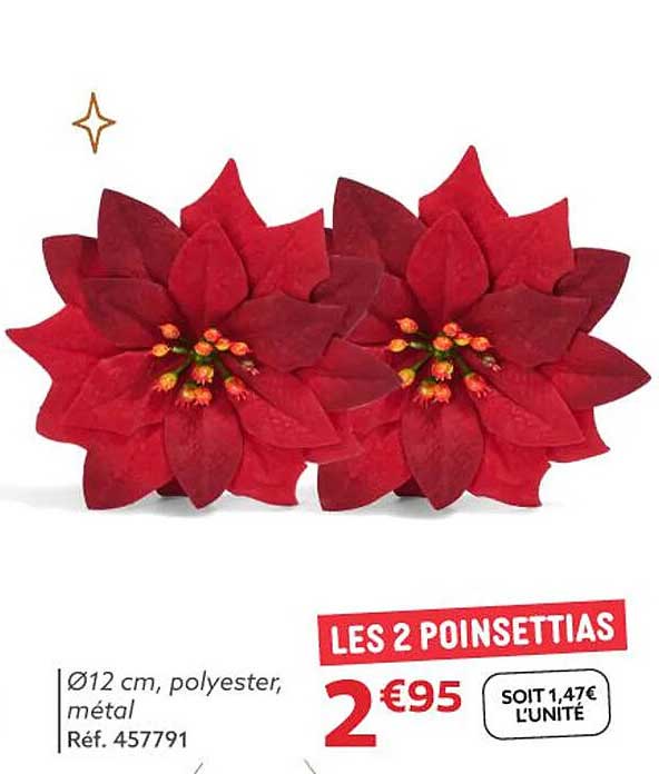 LES 2 POINSETTIAS