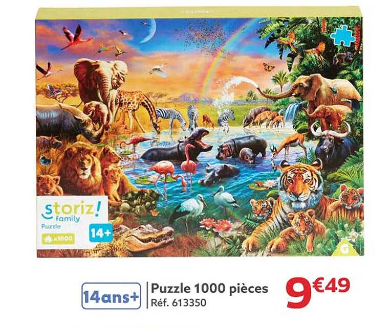 Puzzle 1000 pièces