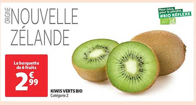 KIWIS VERTS BIO