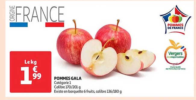 POMMES GALA