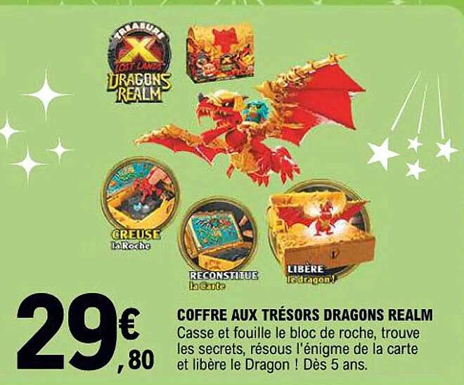 COFFRE AUX TRÉSORS DRAGONS REALM