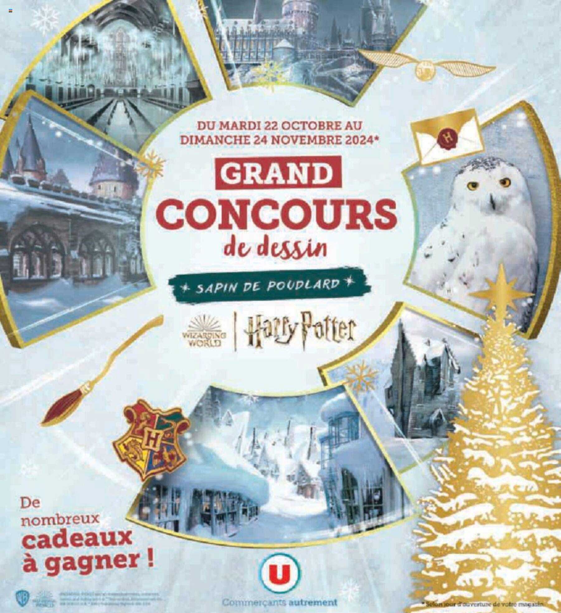 GRAND CONCOURS de dessin Sapin de Poudlard