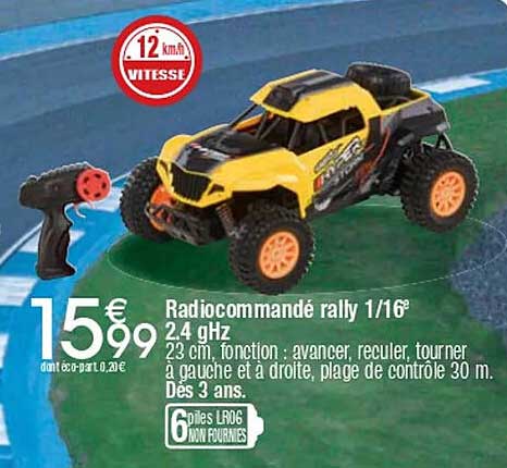 Radiocommandé rally 1/16° 2.4 GHz