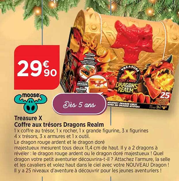 Coffre aux trésors Dragons Realm