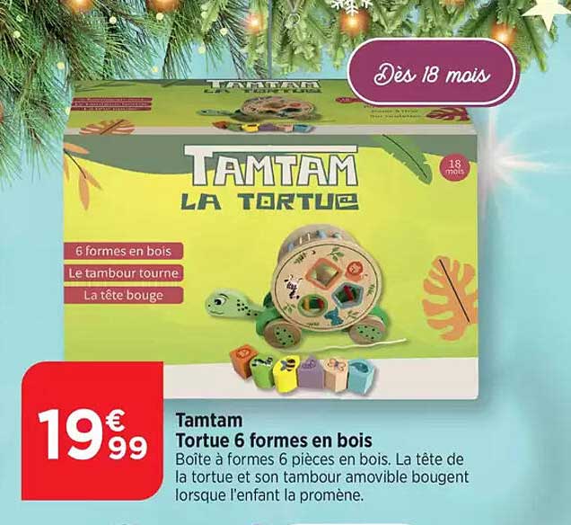 TAMTAM LA TORTUE Tortue 6 formes en bois