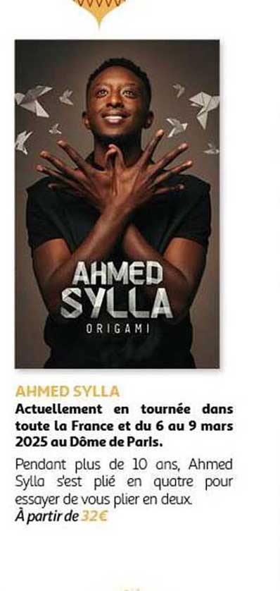 AHMED SYLLA - ORIGAMI