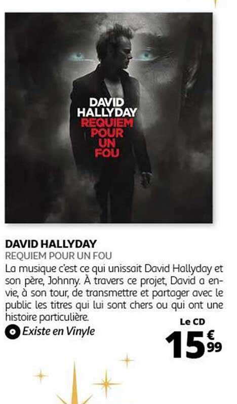 DAVID HALLYDAY REQUIEM POUR UN FOU