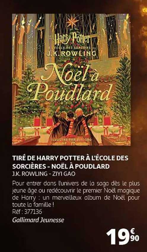 Harry Potter à l'école des sorcières - Noël à Poudlard