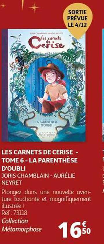 LES CARNETS DE CERISE - TOME 6 - LA PARENTHÈSE D'OUBLI