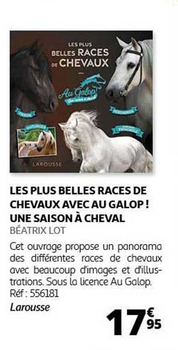 LES PLUS BELLES RACES DE CHEVAUX AVEC AU GALOP ! UNE SAISON À CHEVAL