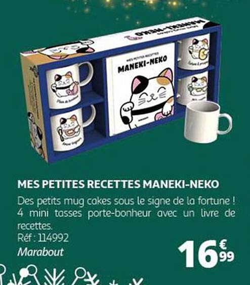 MES PETITES RECETTES MANEKI-NEKO