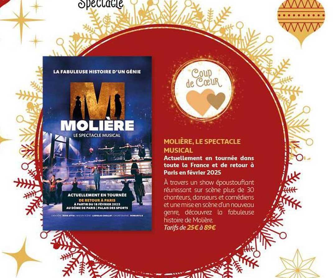 MOLIÈRE, LE SPECTACLE MUSICAL